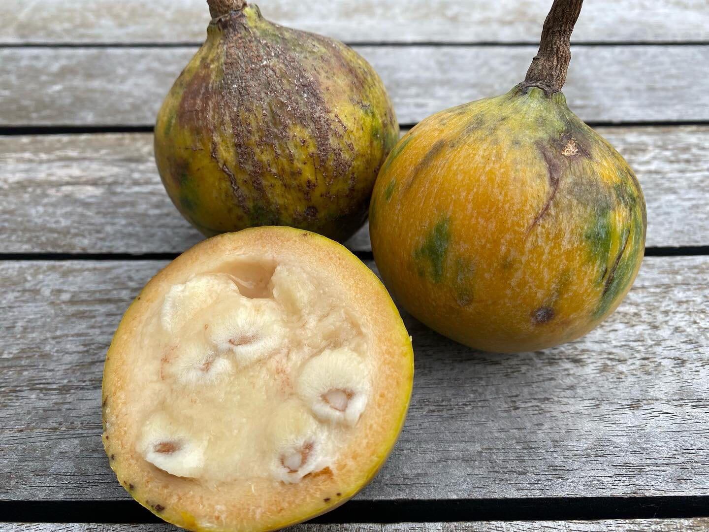 La semilla de fruta, fue la clave para que los niños de la selva sobrevivieran