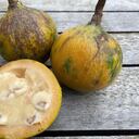 La semilla de fruta, fue la clave para que los niños de la selva sobrevivieran
