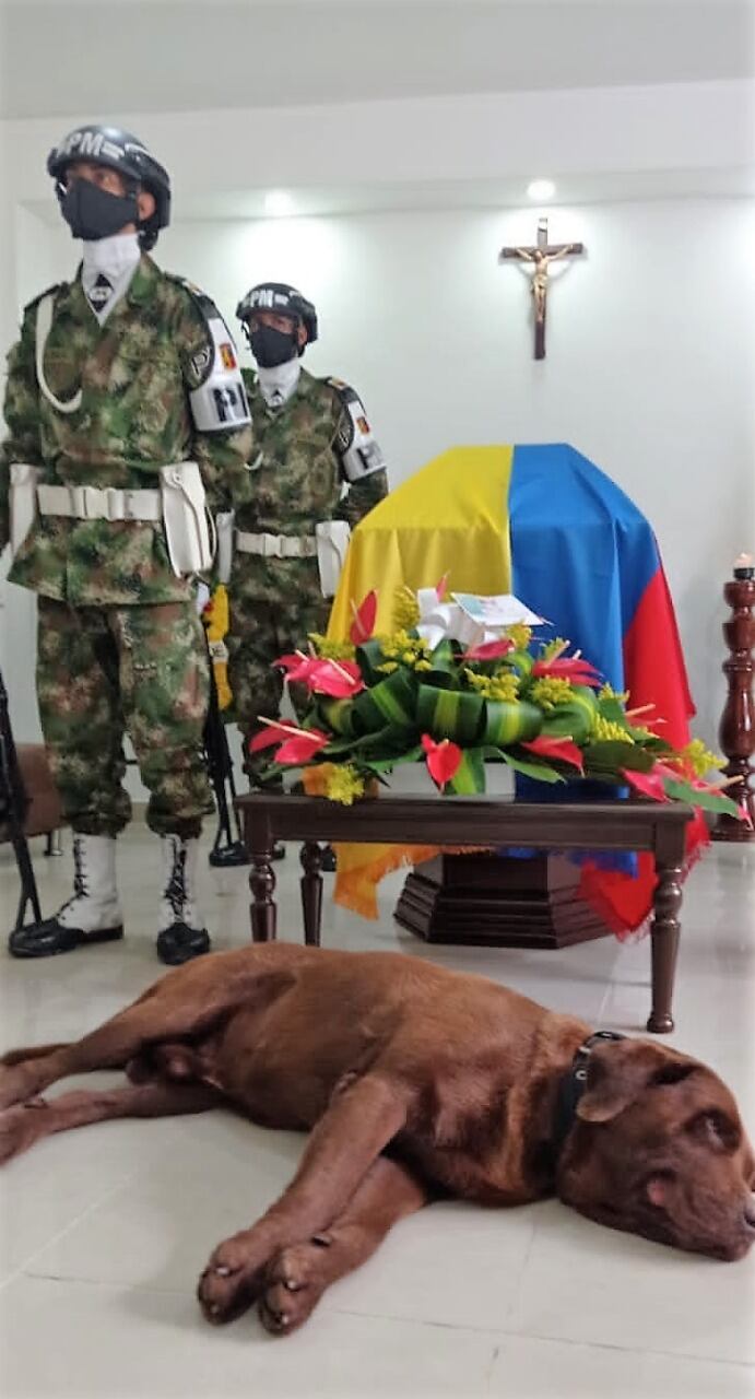 Rocki, Perro del Ejército demostró ser un amigo fie