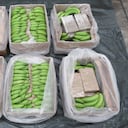 Una fotografía publicada por la Agencia Nacional contra el Crimen (NCA) el 22 de febrero de 2024 muestra paquetes de cocaína escondidos entre plátanos incautados en el puerto de Southampton, en el sur de Inglaterra, anunció la Agencia contra el Crimen Organizado (NCA).