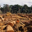 Escena normal en el Amazonas