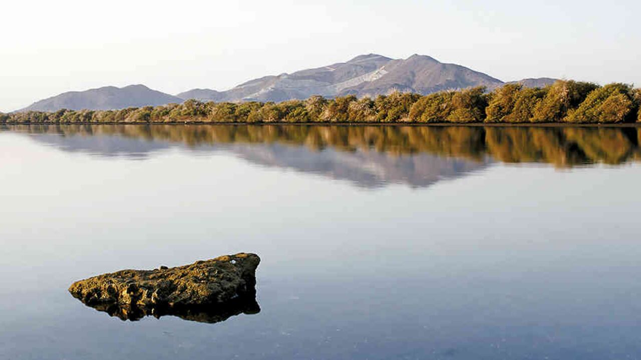 La reserva natural Wasit es un paisaje único y cuenta con un lago natural mantenido por una corriente de agua subterránea.