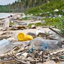 Este año quedará prohibido el ingreso de plásticos de un solo uso a las reservas naturales de Colombia. Foto: Getty.