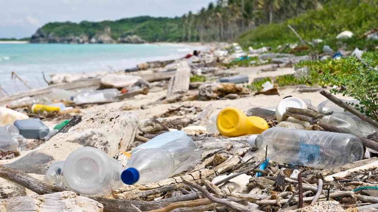 Este año quedará prohibido el ingreso de plásticos de un solo uso a las reservas naturales de Colombia. Foto: Getty.