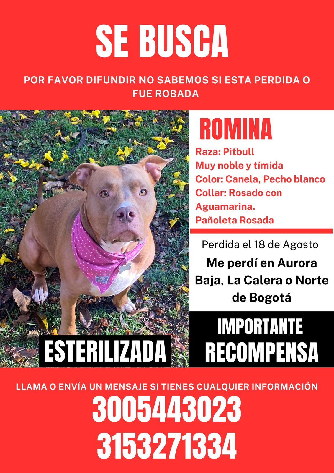 Romina está perdida