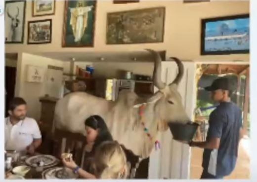 La exfiscal Ana Catalina Noguera Toro es investigada por entregar información a narcotraficantes y mafiosos.