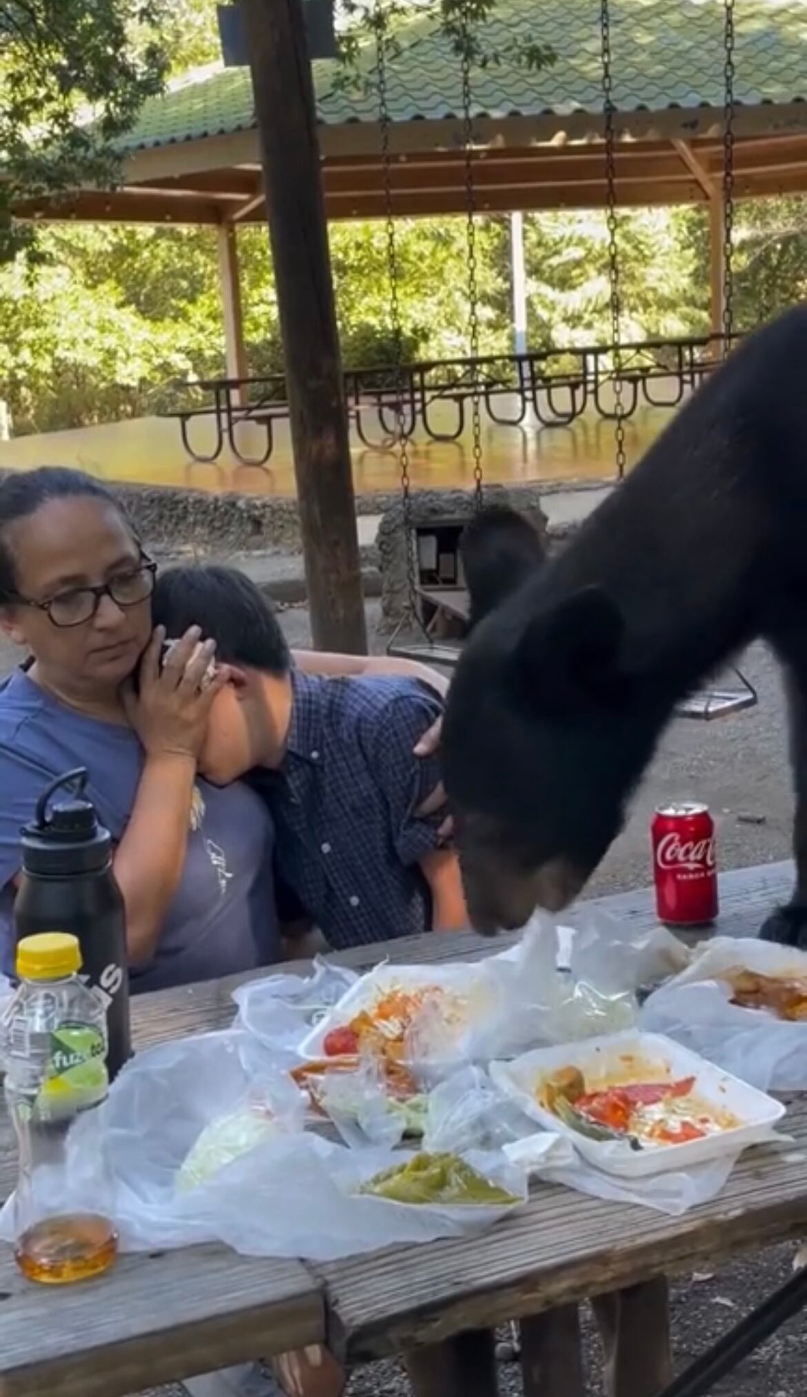 Captura de pantalla X @AlertaNews24.