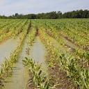 Es espera que la temporada actual de lluvias se extienda hasta finales de este año.