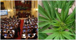 Congreso Marihuana