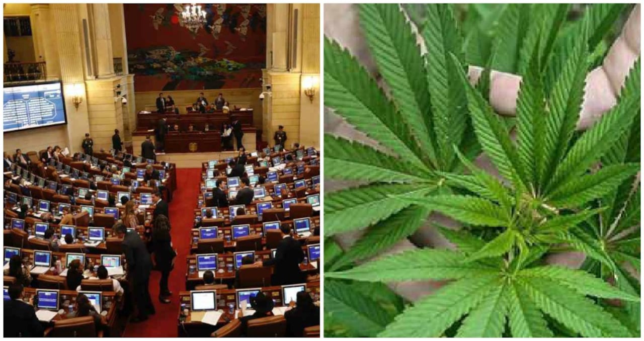 Congreso Marihuana
