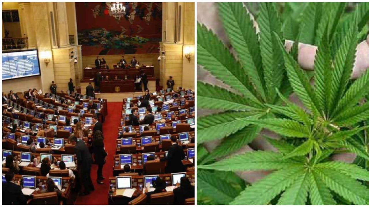 Congreso Marihuana