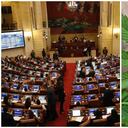 Congreso Marihuana