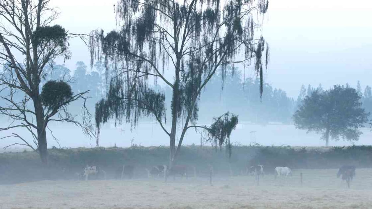 En el altiplano cundiboyacense se vienen registrando temperaturas muy bajas en las noches y madrugadas. Foto: archivo/Semana