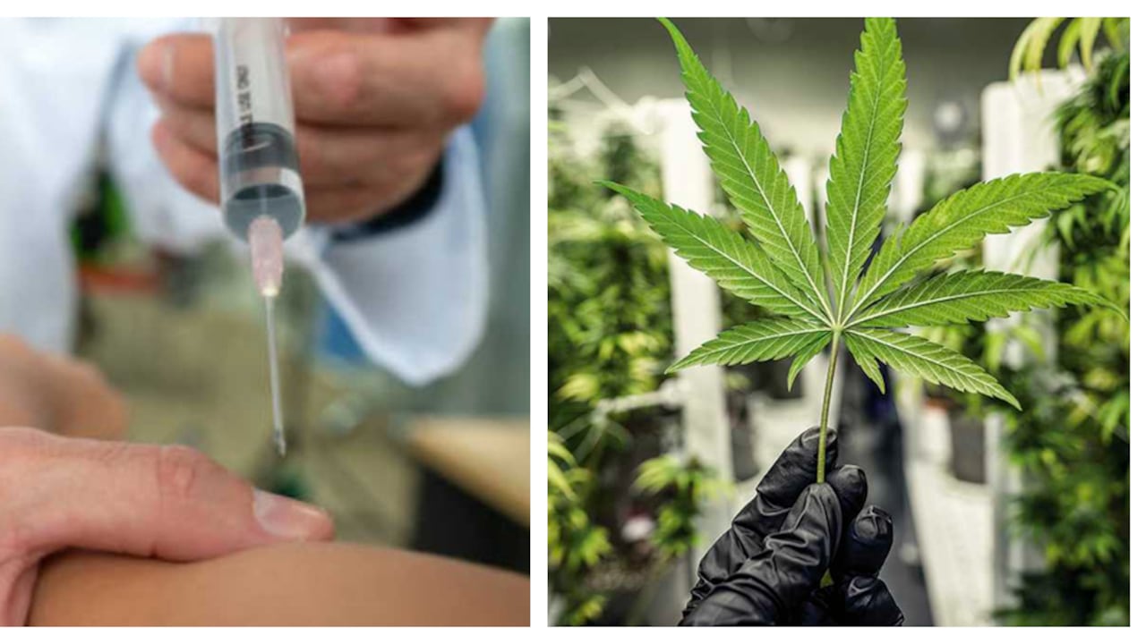 Eutanasia y Cannabis.