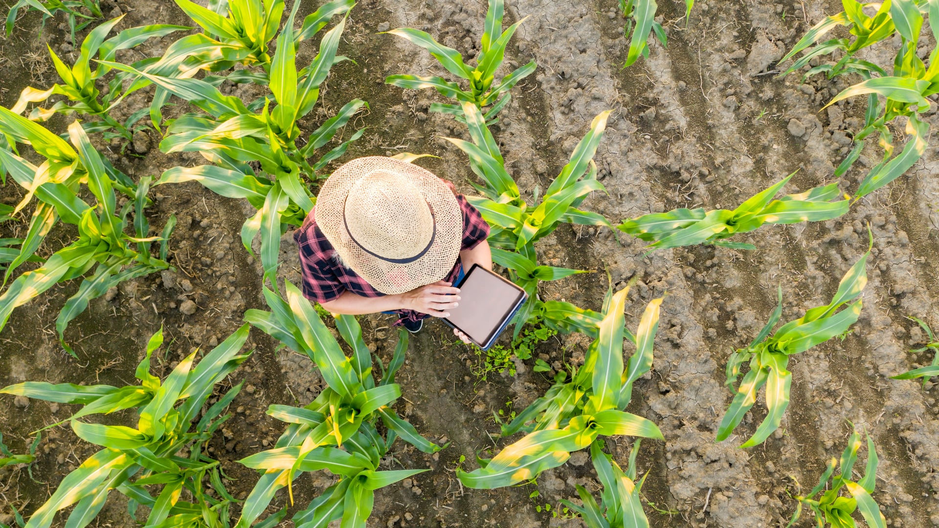 Según la Banca de las Oportunidades, la proporción de adultos que tenían al menos un producto financiero pasó de 62 por ciento en 2010 a 87,8 por ciento en 2020.
