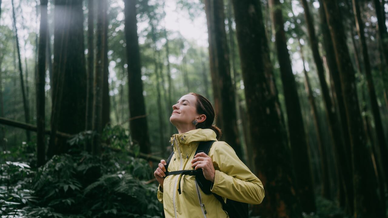 Mujer contemplando en el bosque, Alishan, Taiwán