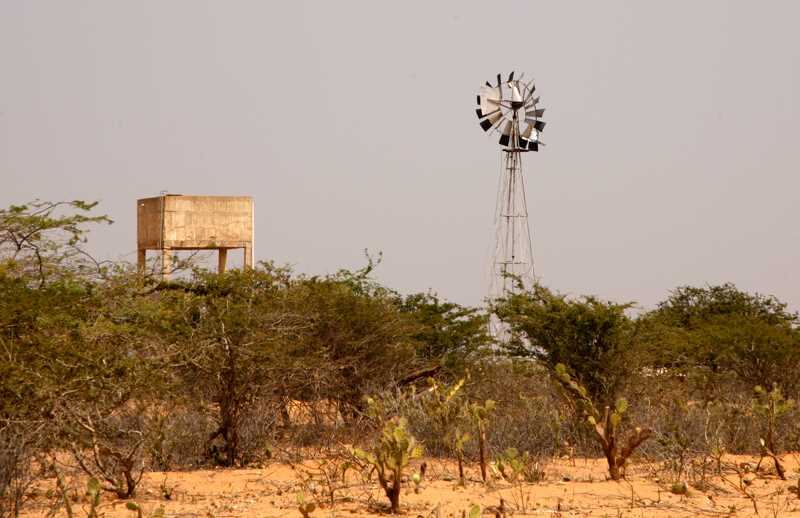 De acuerdo con el INS, esta situación ha cobrado la vida de 55 niñas y niños menores de 5 años a causa de la desnutrición y causas relacionadas. (Imagen de referencia).