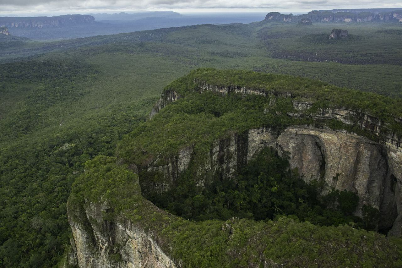 La Unesco eligió el Parque Nacional Natural Serranía de Chiribiquete como patrimonio de la humanidad. En este santuario natural habita el nuevo escarabajo.