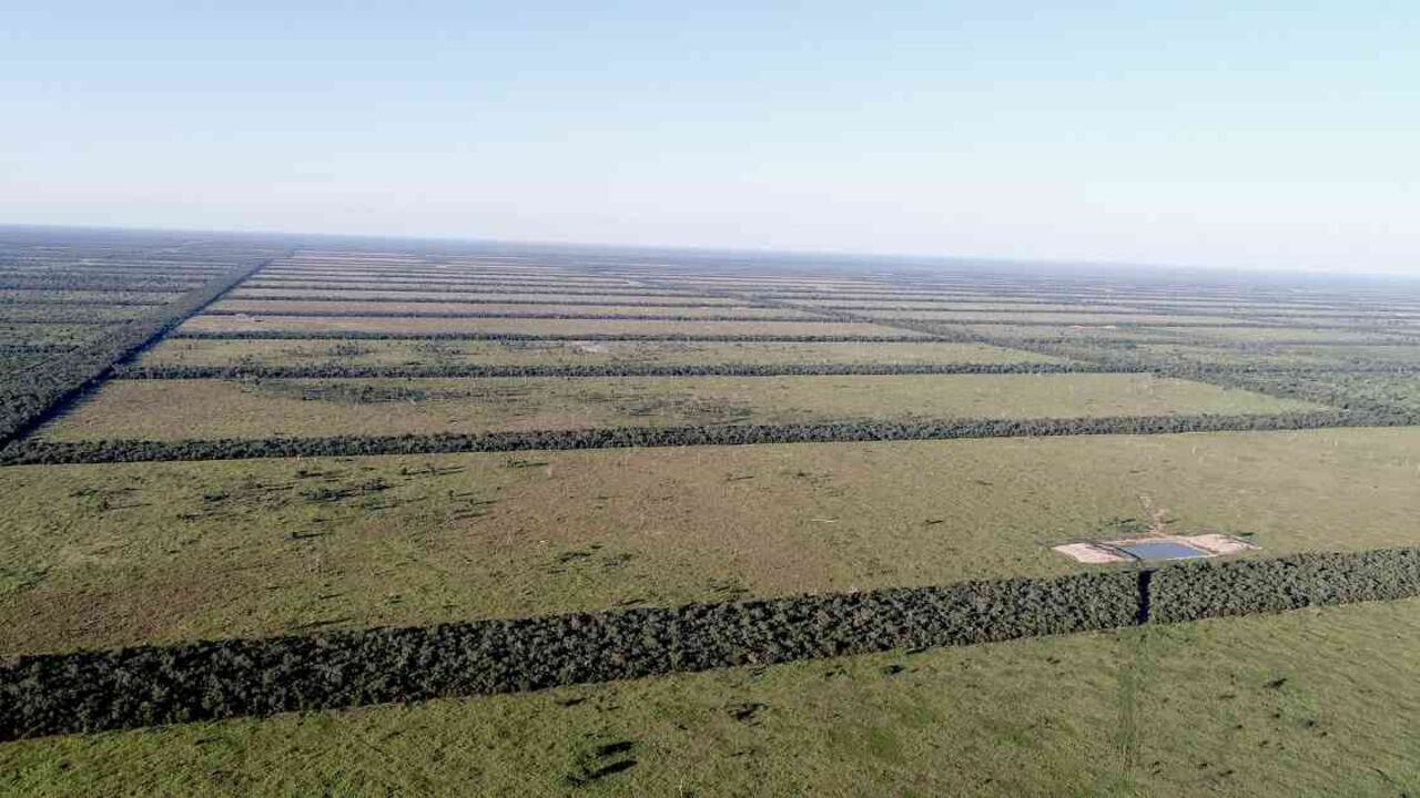 Predios deforestados para la ganadería en el Parque Defensores del Chaco en Paraguay. Foto: Aldo Benítez.