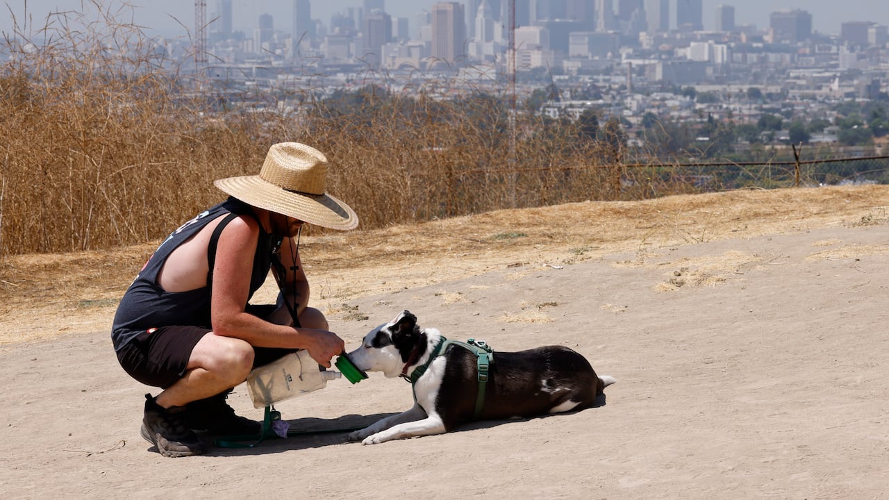 Es fundamental mantenerse hidratado durante las olas de calor, y hacer lo mismo con los animales.
