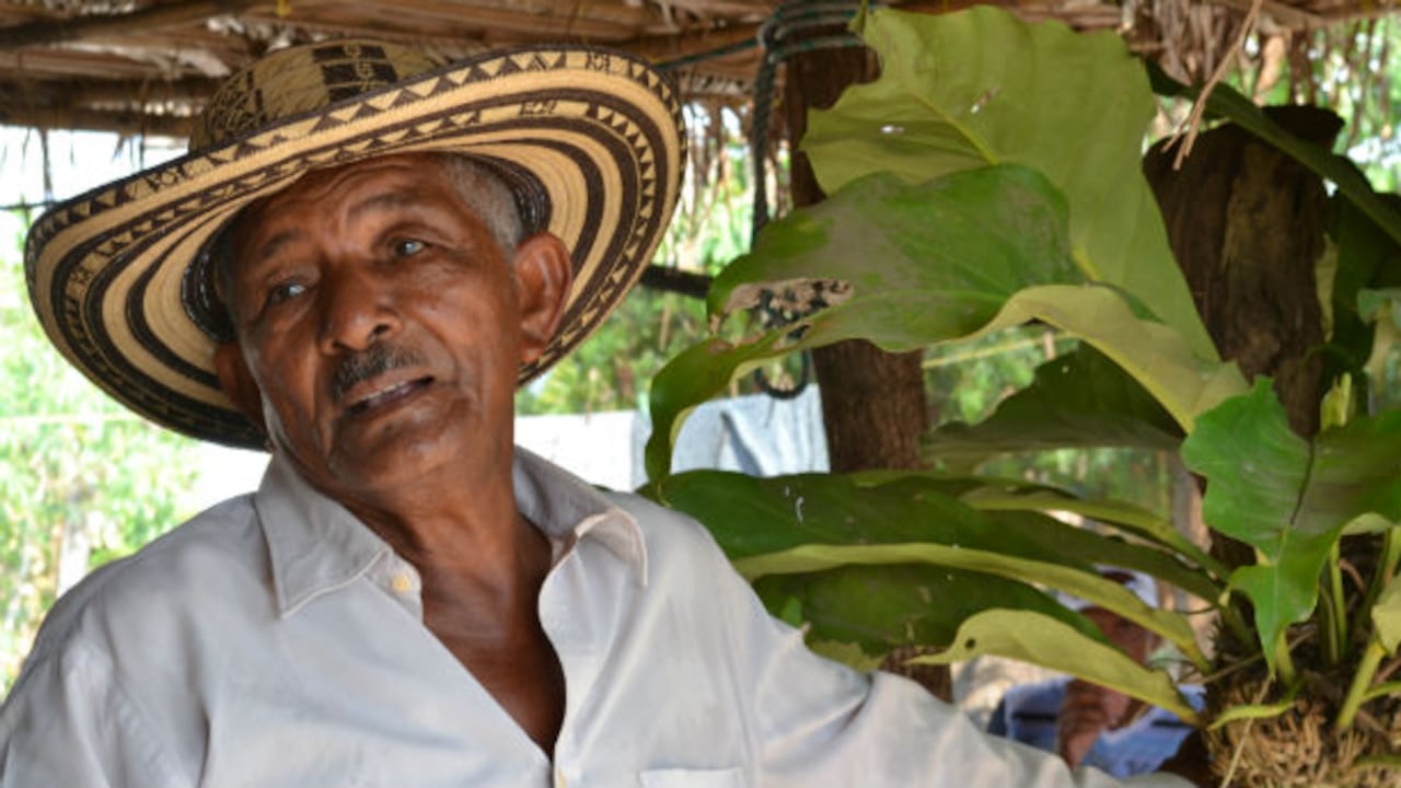 Luis Ramos sujeta el árbol por el que reconoció dónde estaba su finca.