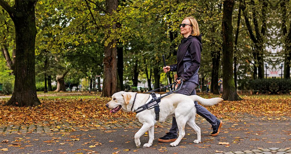la app ofrece un servicio de recogida, donde el cuidador va hasta la vivienda.