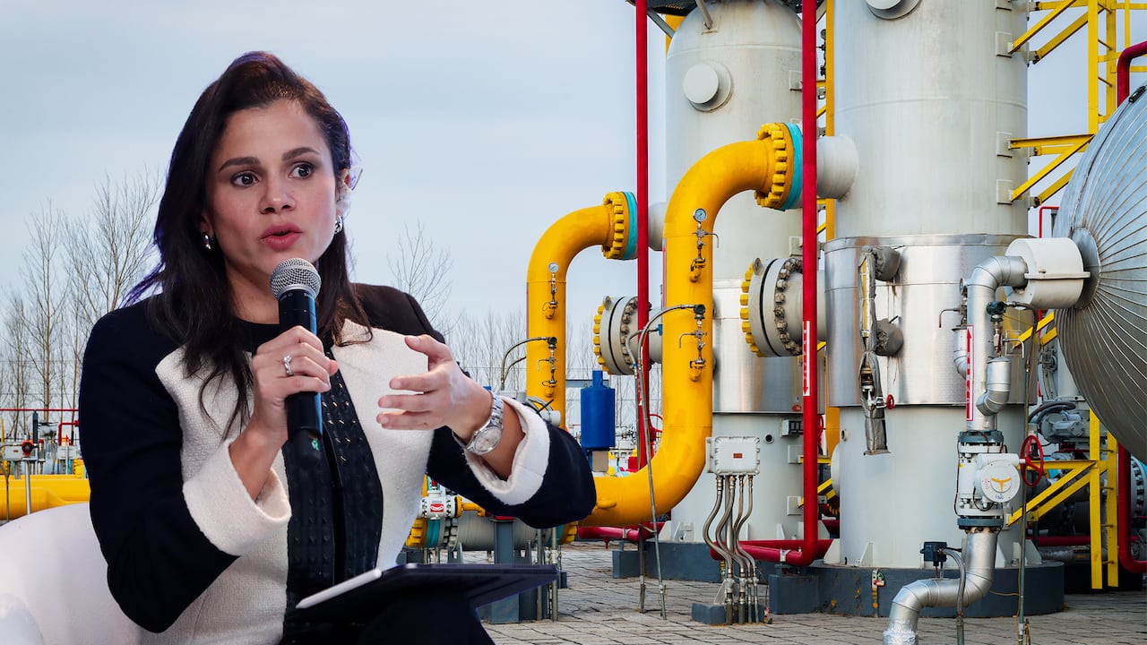 Luz Stella Murgas, Presidenta de Naturgas