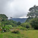 Más de 10.000 hectáreas se protegen en el Valle con Reservas Naturales de la Sociedad Civil.