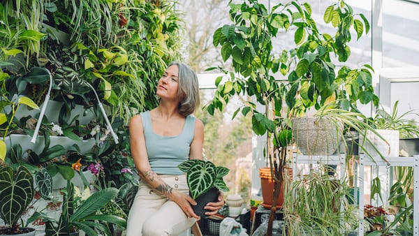 Tener vegetación en casa ayuda acerca a las personas a un entorno más orgánico.