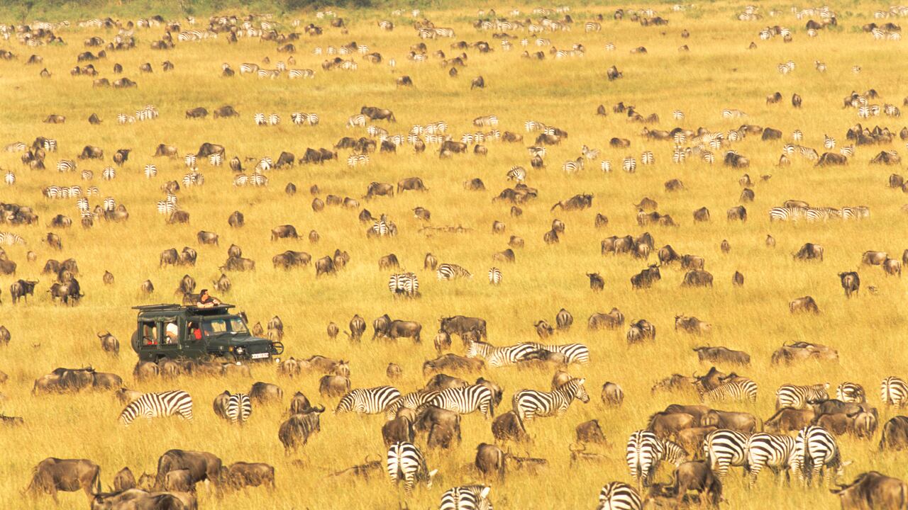 África