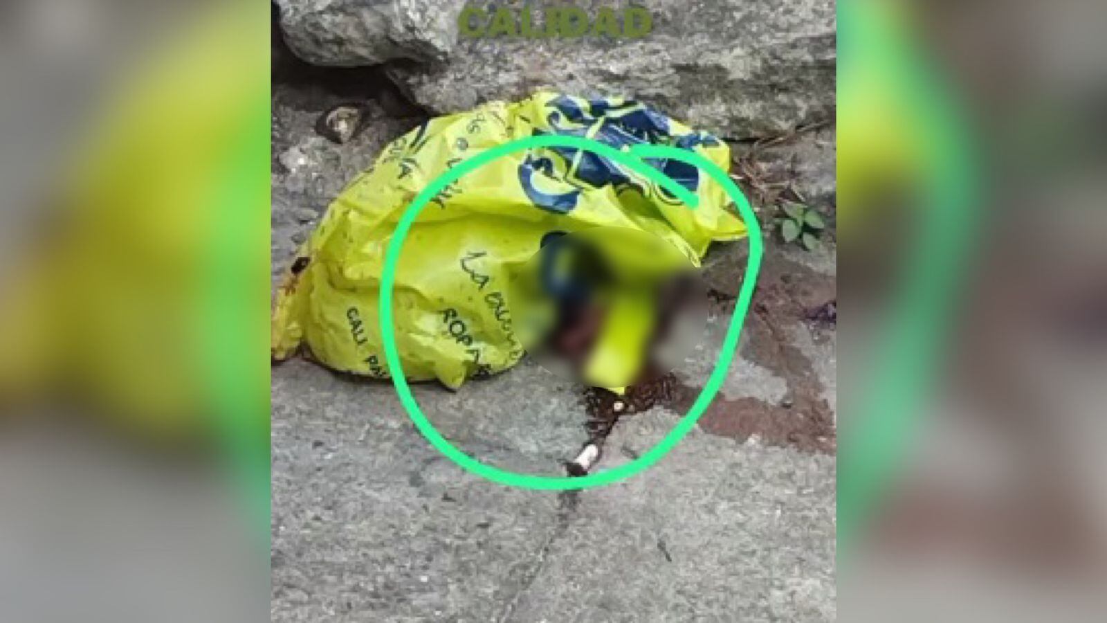 El feto fue hallado dentro de esta bolsa.