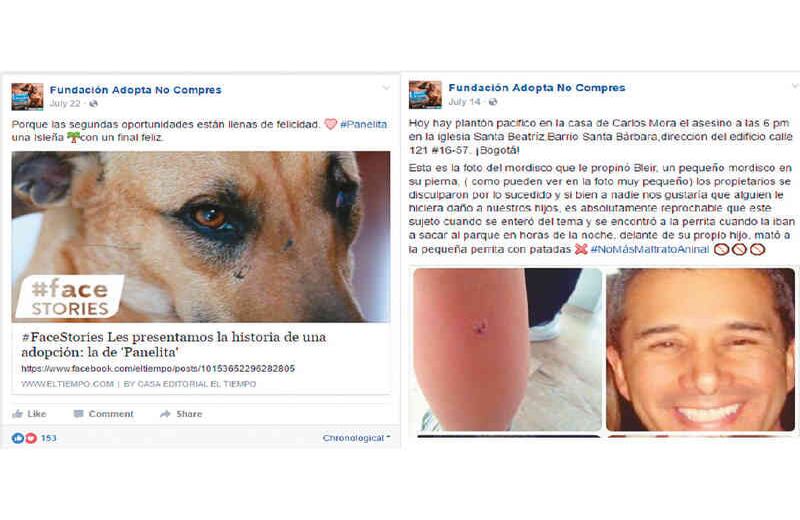 Pasión animal: La crueldad contra los animales ha encontrado en Facebook un espacio para la denuncia y la indignación. En esta red socual salió a flote el caso de un delfín bebé que murió en una playa argentina mientras los turistas se tomaban selfis con él en los brazos. Y también allí se conoció, el pasado julio, la historia del médico que mató a patadas a un perro miniatura.