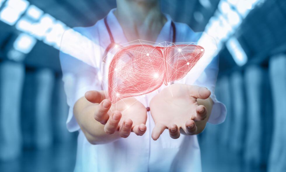 Un hígado saludable es fundamental para la salud y el bienestar general del cuerpo humano.