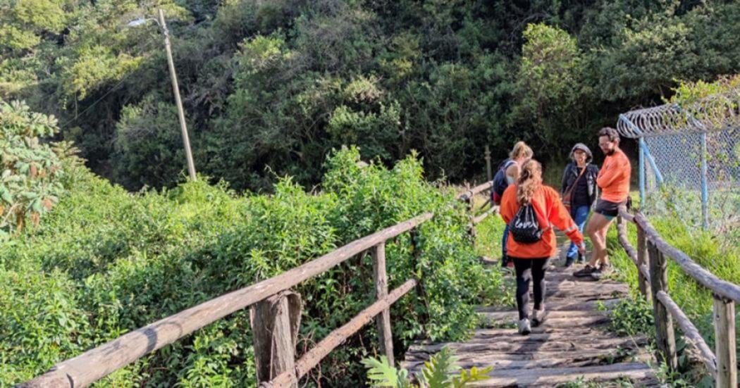 Senderismo en el puente festivo: Las 5 rutas ecológicas más seguras de Colombia para caminar y desconectarse de la rutina