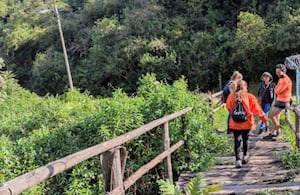 Senderismo en el puente festivo: Las 5 rutas ecológicas más seguras de Colombia para caminar y desconectarse de la rutina