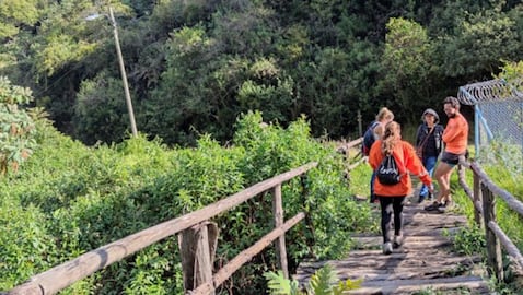 Senderismo en el puente festivo: Las 5 rutas ecológicas más seguras de Colombia para caminar y desconectarse de la rutina