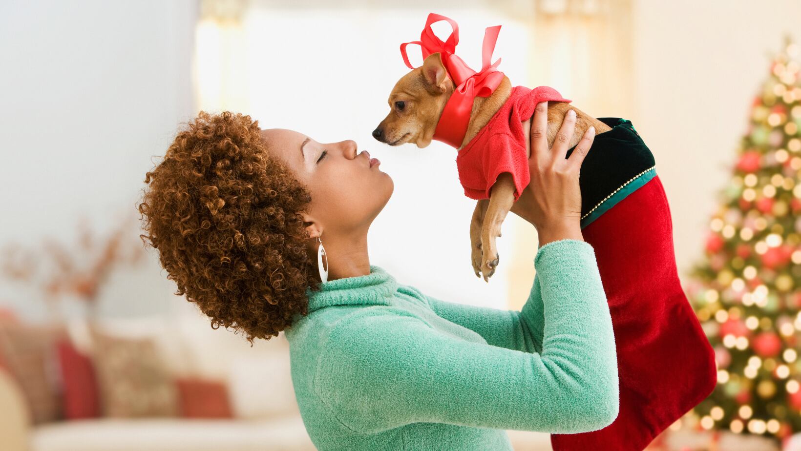 ¿Por qué no regalar ni comprar mascotas en Navidad?