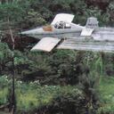La sentencia para reanudar las aspersiones aéreas con glifosato no existe.