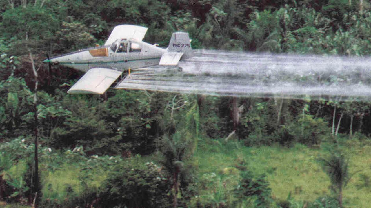 La sentencia para reanudar las aspersiones aéreas con glifosato no existe.
