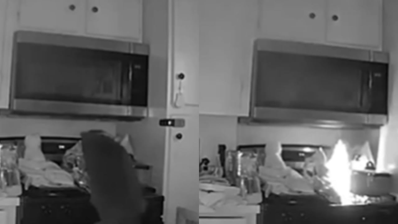 El gato, al percatarse del fuego, huyó del lugar.