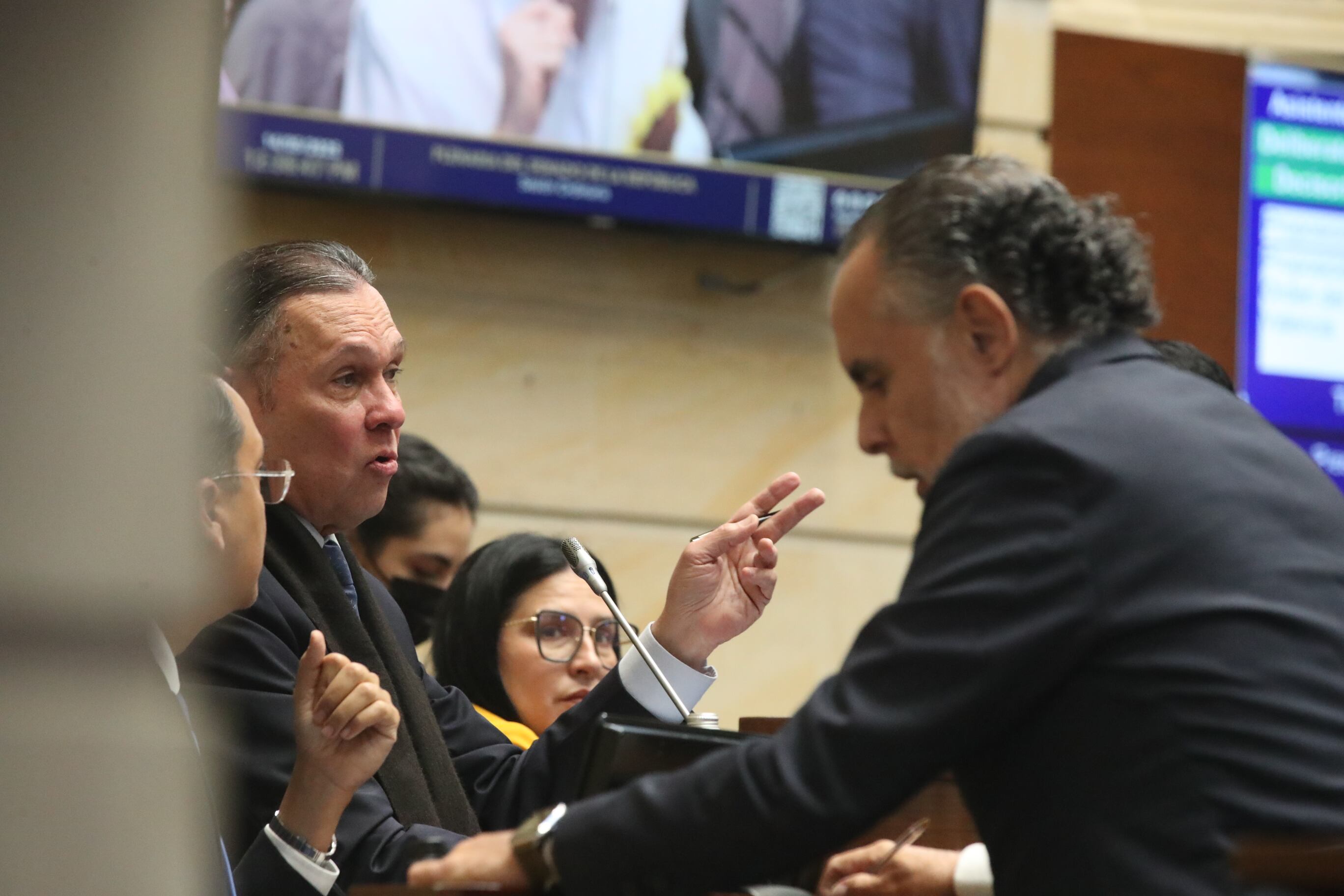 Plenaria Senado, consulta popular