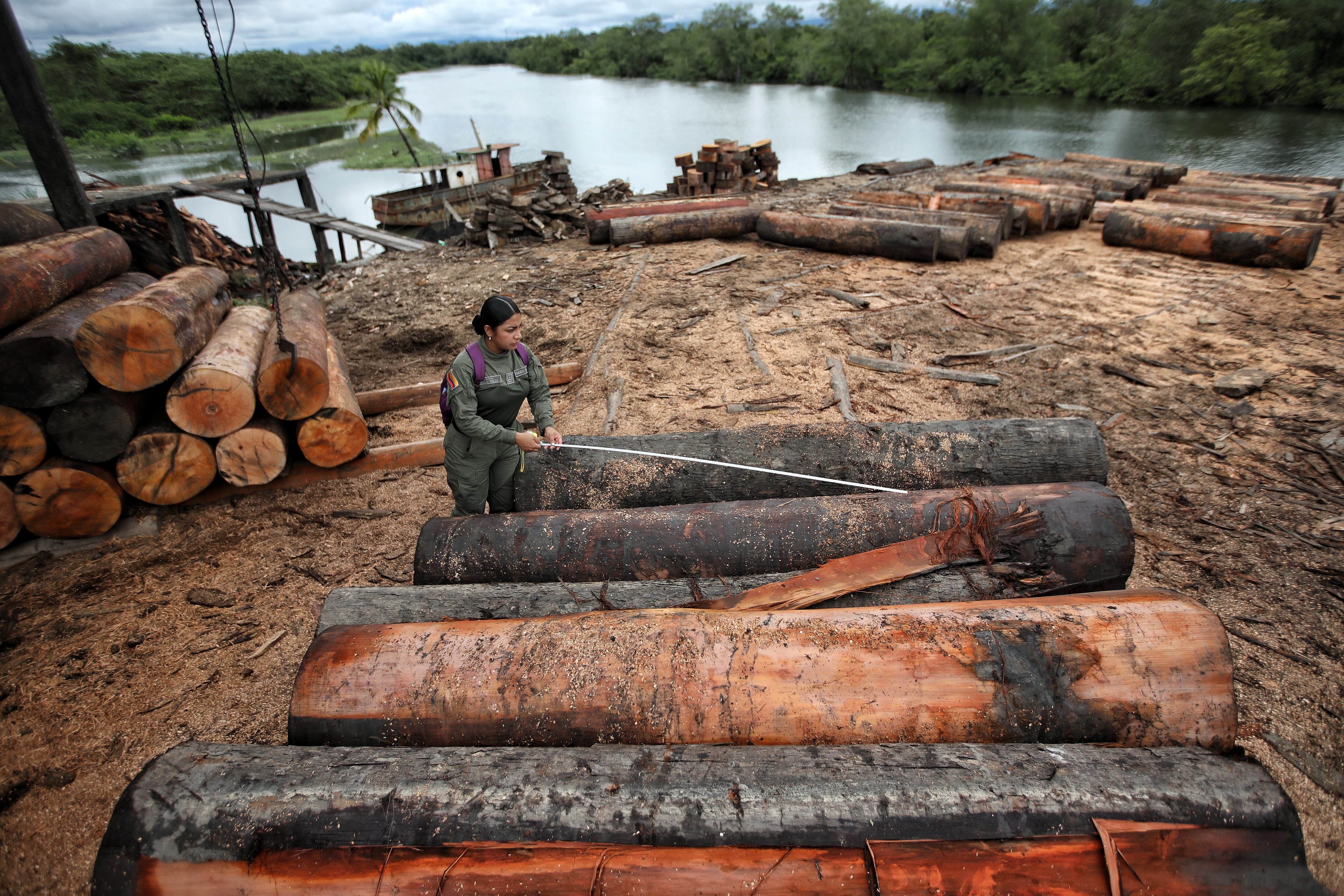 FOTO: ESTEBAN VEGA LA-ROTTA
OPERATIVO DE LA POLICIA NACIONAL PARA MITIGAR EL TRAFICO DE MADERA EN BUENAVENTURA
MADERA ILEGAL 
DEFORESTACION
OPERACION ALIANZA PACÍFICO
REVISTA SEMANA
25 DE MAYO 2022