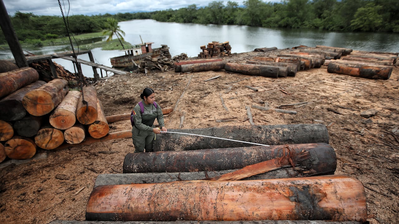 OPERATIVO DE LA POLICIA NACIONAL PARA MITIGAR EL TRAFICO DE MADERA EN BUENAVENTURA
