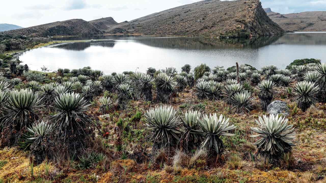 Editorial Eficiencia en el manejo del agua, SOS por el agua, Semana Sostenible