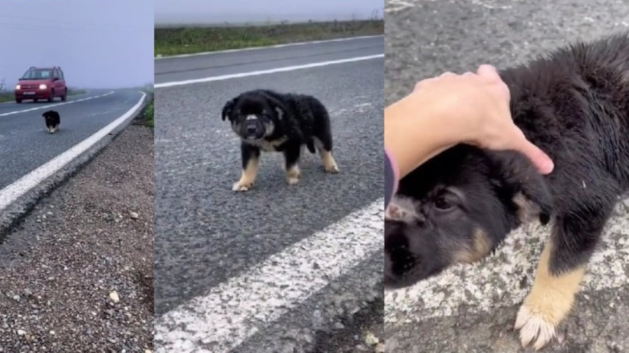 El momento ganó popularidad rápidamente en redes sociales.