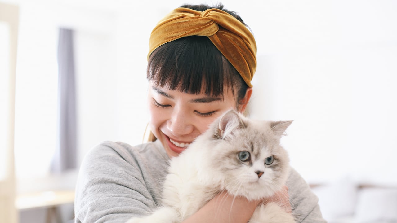 La presencia de una mascota puede estar relacionada con un menor riesgo de enfermedades cardíacas.