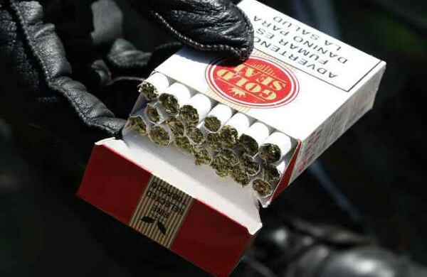 700 kilos de marihuana fueron decomisados por la Policía durante el milimétrico registro al 'Bronx'.