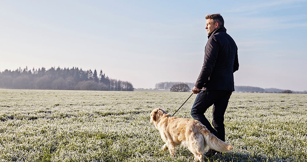 El carro volador y los vertipuertos_2