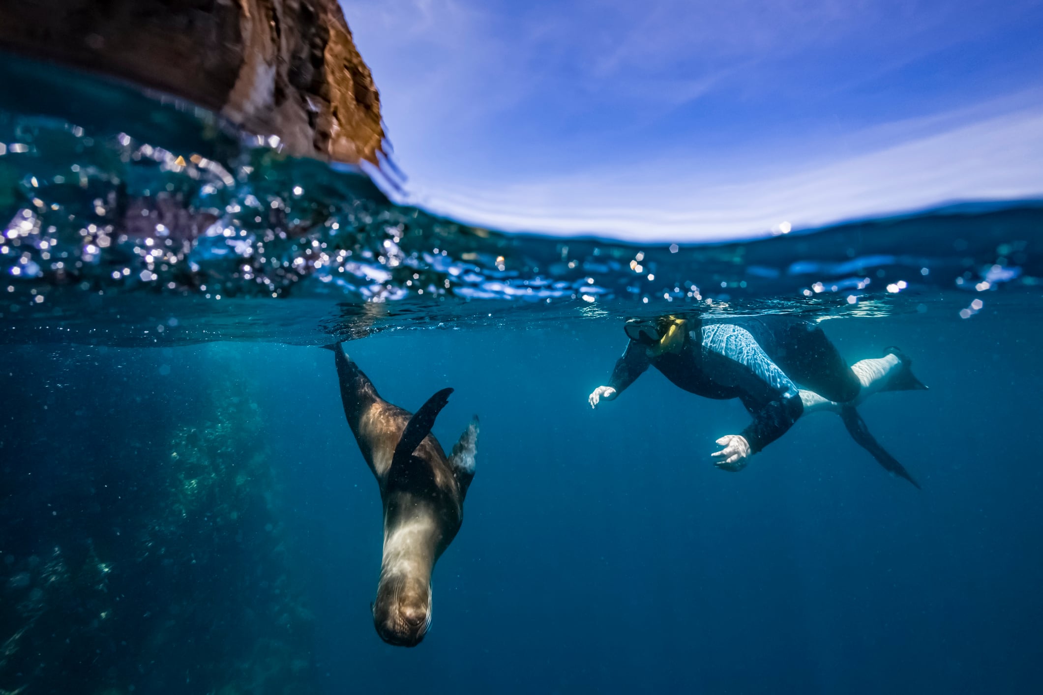 El snorquel es una de las actividades imperdibles en islas Galápagos.