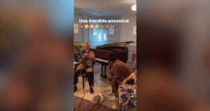 El susto de Francia Márquez en Medellín